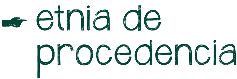 Etnia de procedencia